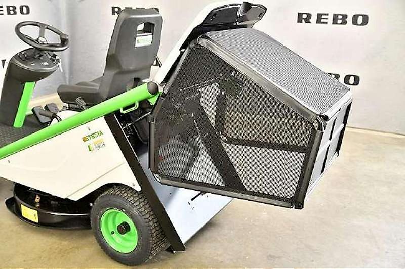Etesia BAHIA