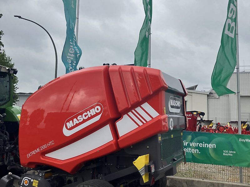 Maschio Mondiale / Extreme Spätsommer - RABATT - AKTION