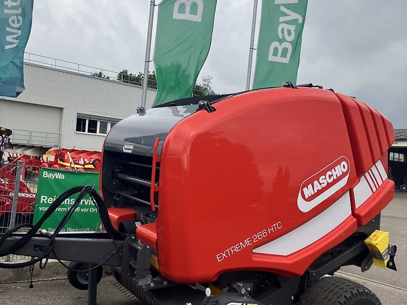 Maschio Mondiale / Extreme Spätsommer - RABATT - AKTION