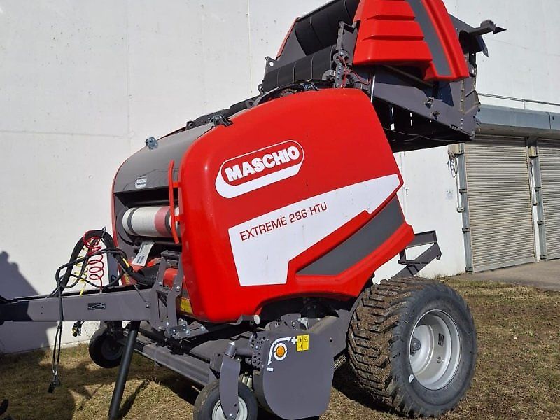 Maschio Mondiale / Extreme Spätsommer - RABATT - AKTION